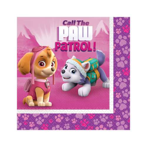 Paw Patrol Girls Lunch Napkins - Click Image to Close